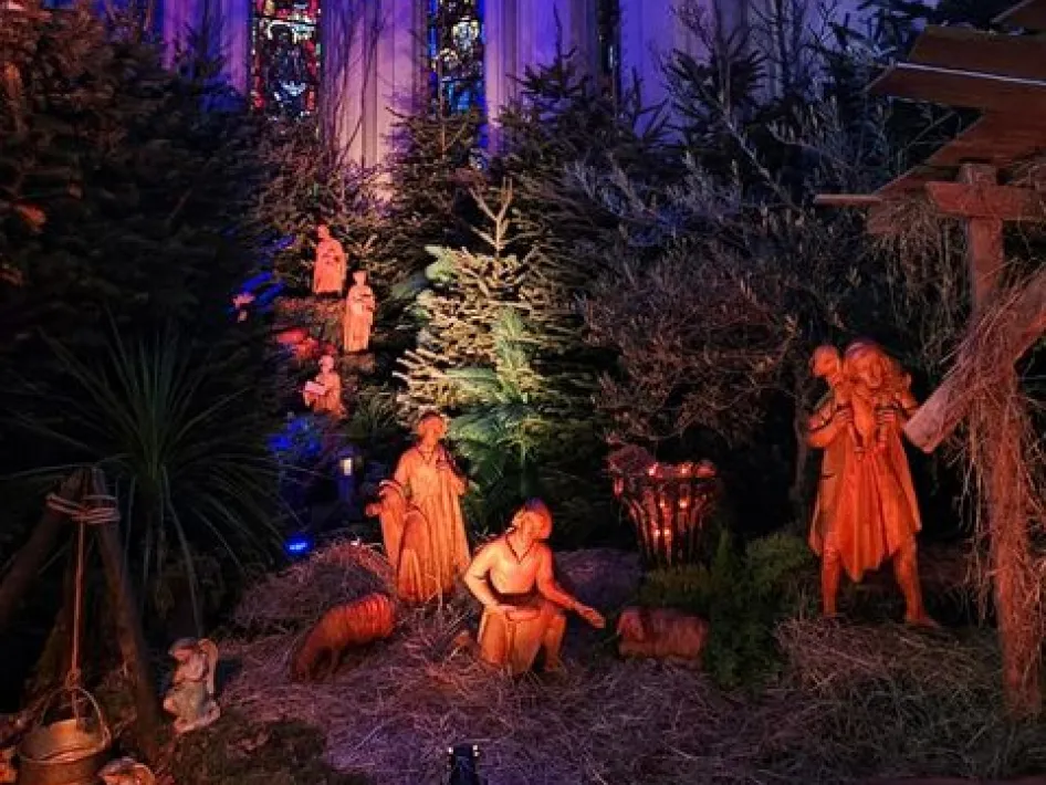 Verlichte kerststal tussen kerstbomen in de Lambertuskerk, te zien tijdens kerstmarkt Swalmen.