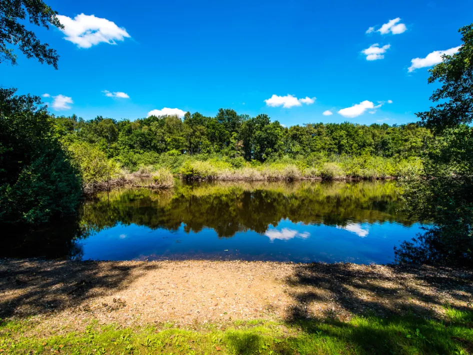 Place of Happiness 23