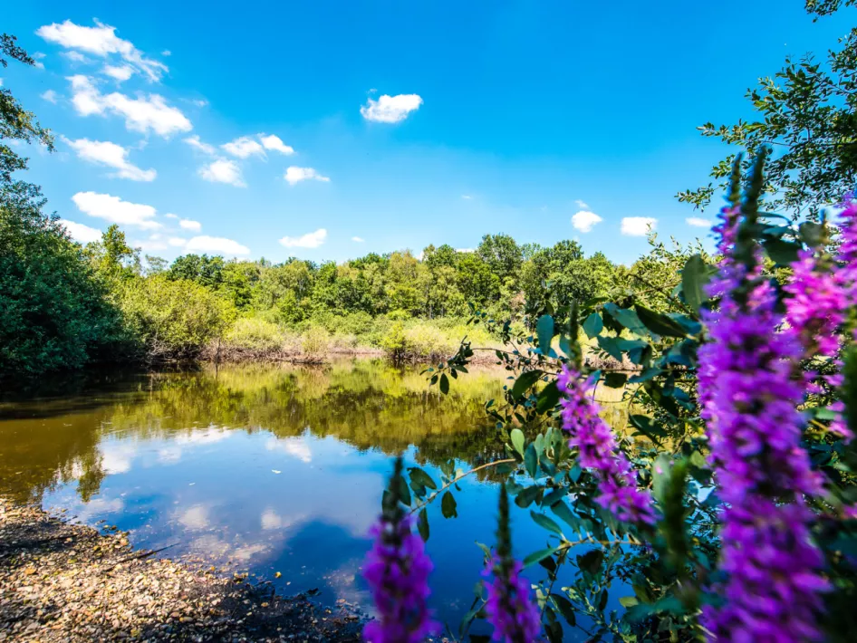 Place of happiness 19