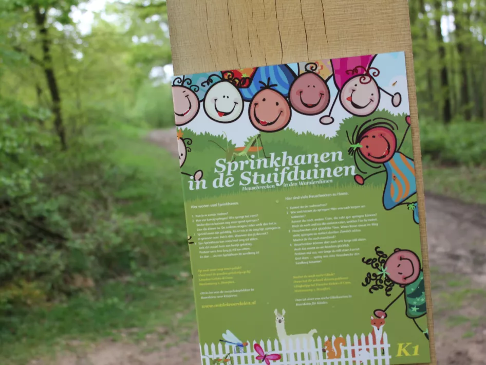 Die Wanderdünen von Rozendaal