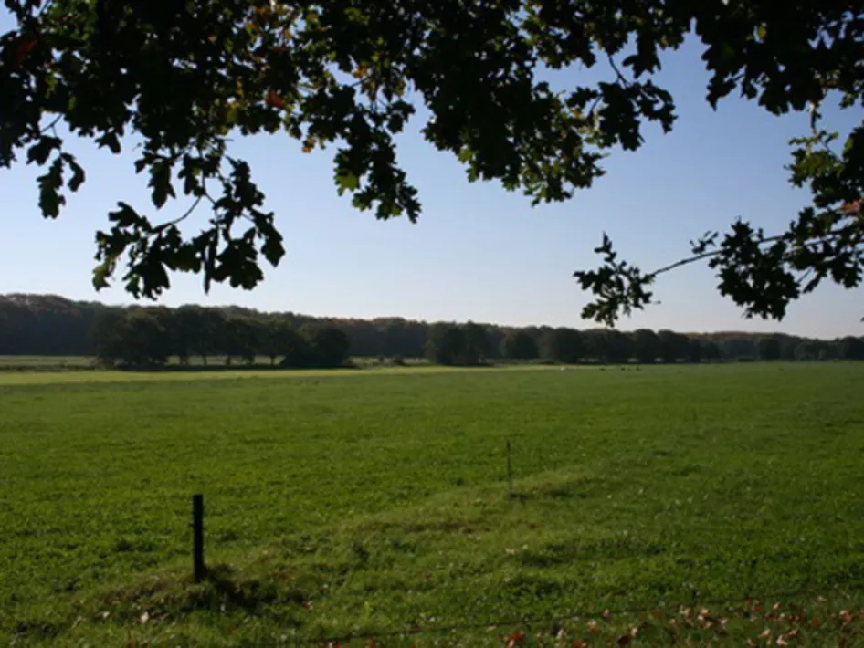 Landgut Rozendaal