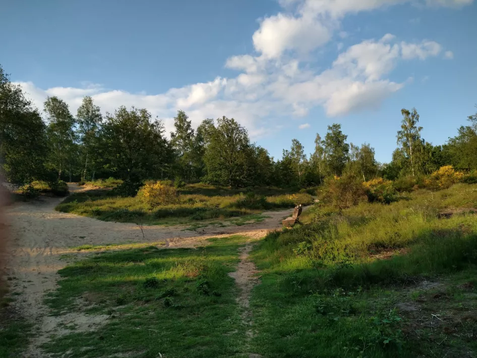 Ruiterroute Roerdalen - Culturele Route