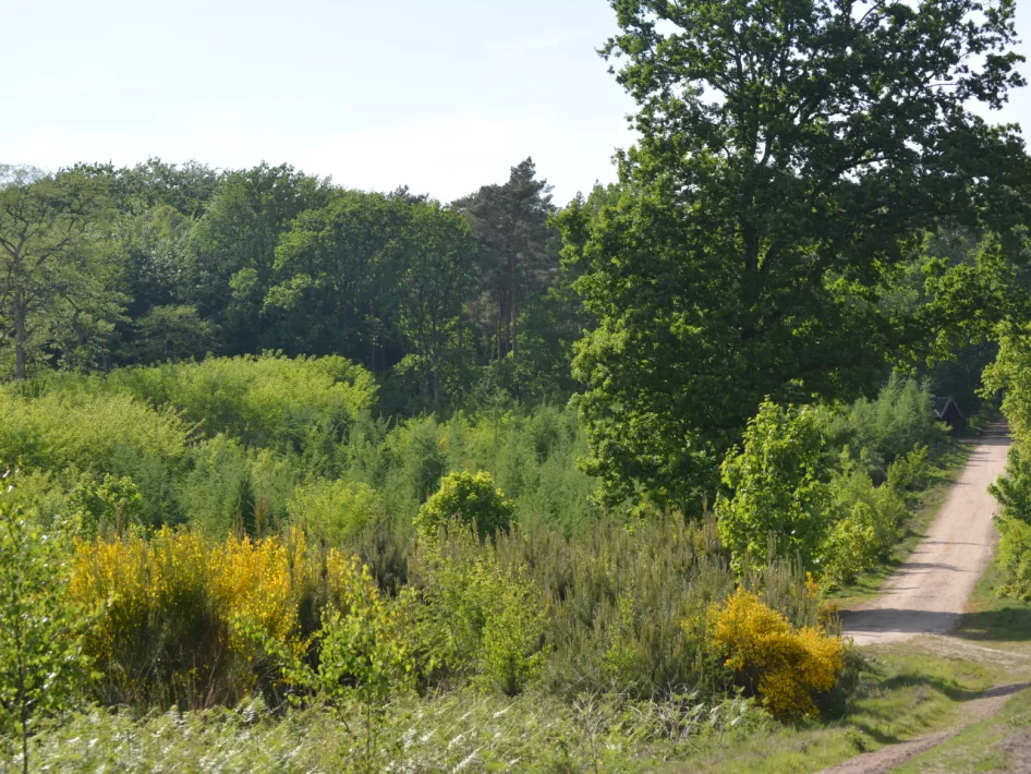 Place of Happiness 3