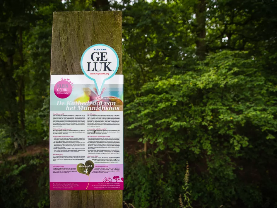 4. Die Kathedrale vom Munnichsbos