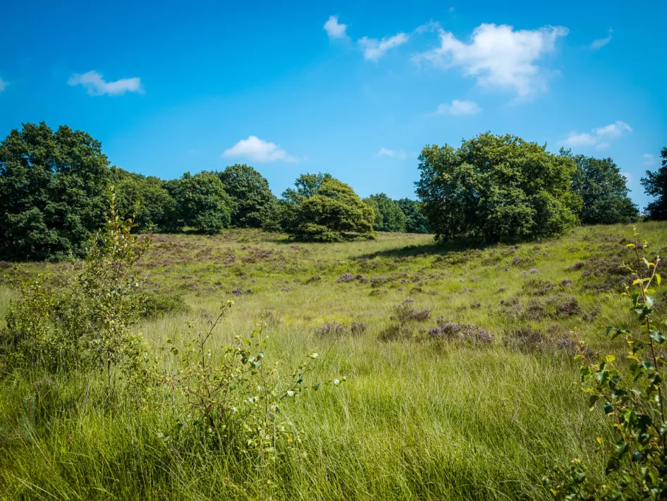 Partnerroute: Fietsrondje Hotel Rosveld