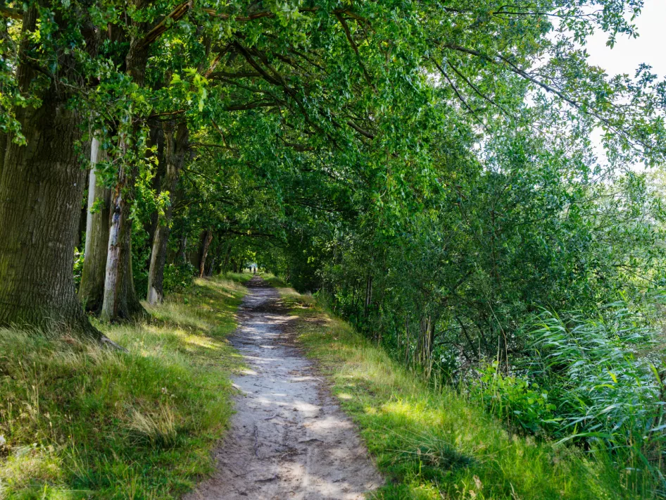 Nature reserve Nederweert