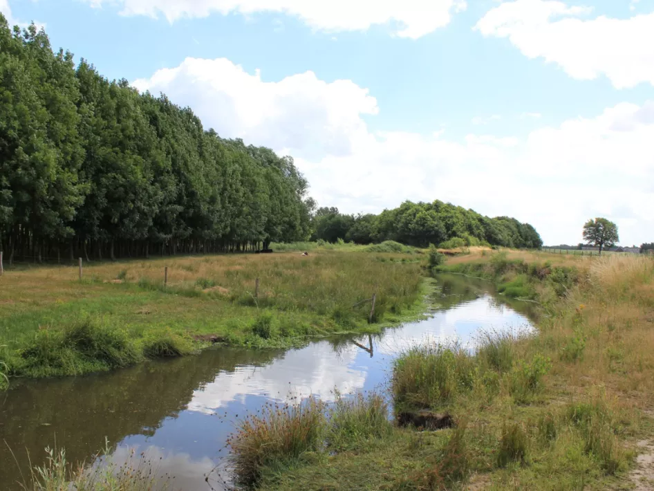 Wandelroute Knopenlopen: Leveroy