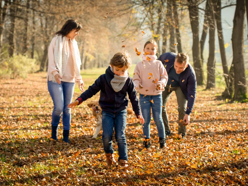 Wandelroute De Peel: Meerbaansblaak geel