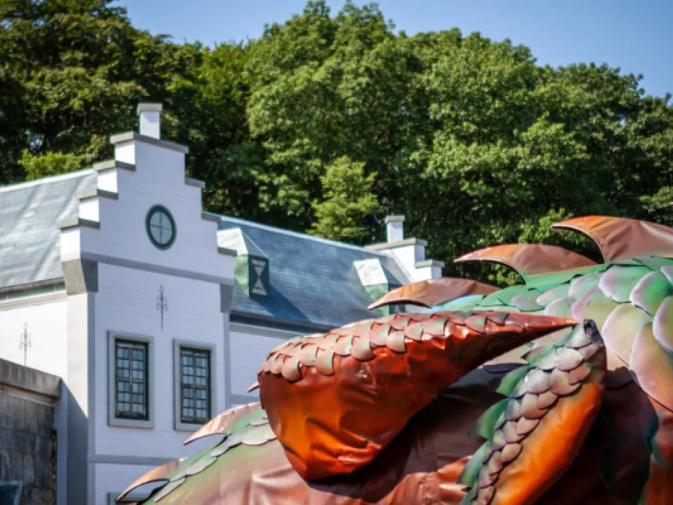 De draak gespot; gezinswandeling