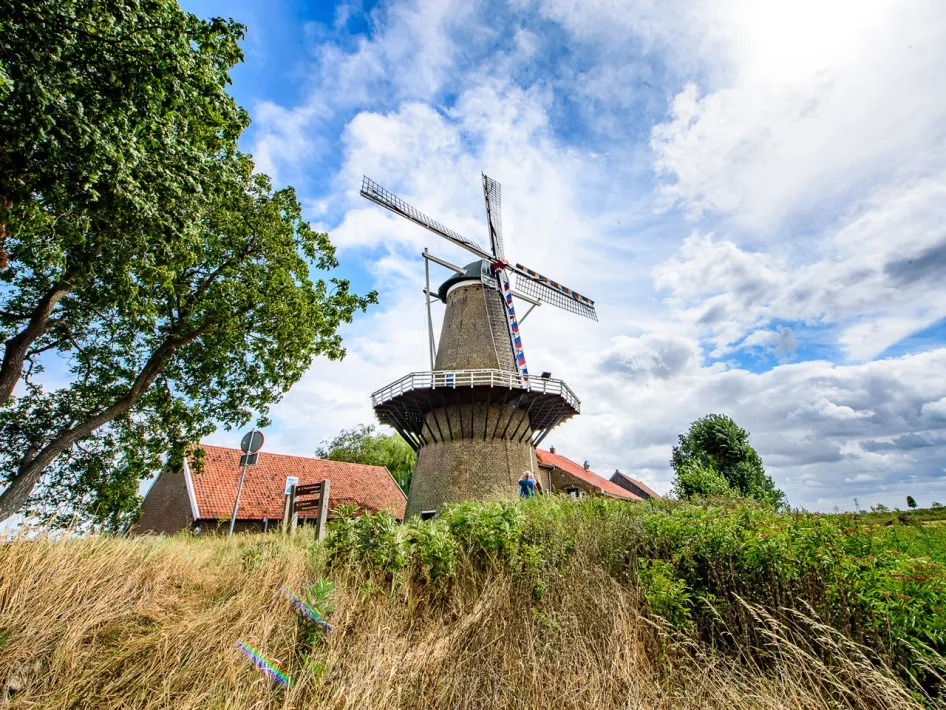 De Hompesche Molen tussen het groen onder een blauwe lucht met wolken te bezoeken tijdens de Open Monumentendag Maasgouw.