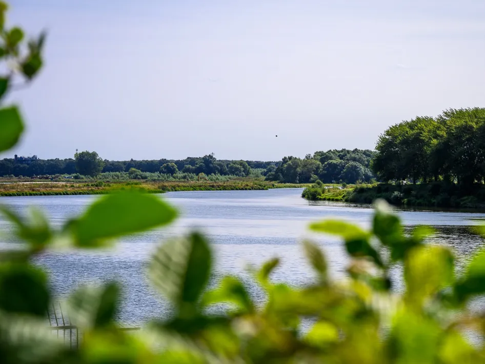 Blick über die Maas bei Osen, umgeben von viel Grün und typischer Flussnatur.