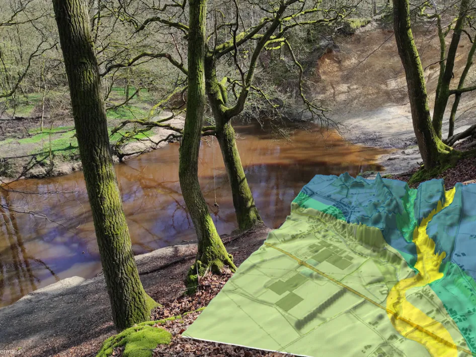 Bos en beek in het Leudal met een kaart van de wandelroute, verwijzend naar de verborgen kracht van het landschap en de natuur.