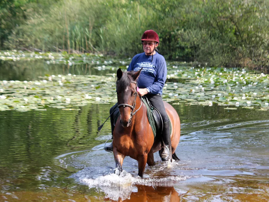 Reiter mit Pferd im Wasser