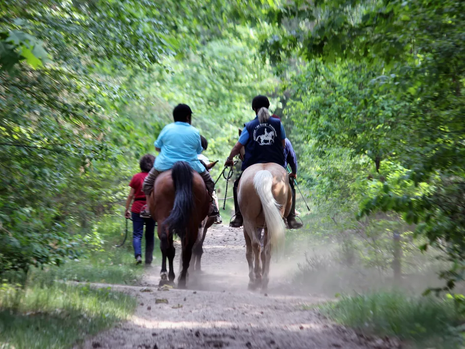 Een begeleide buitenrit