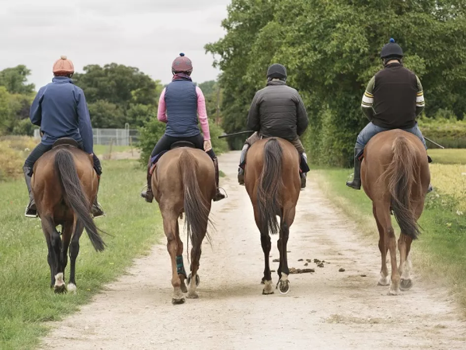 Vier ruiters die op hun paard langs elkaar rijden