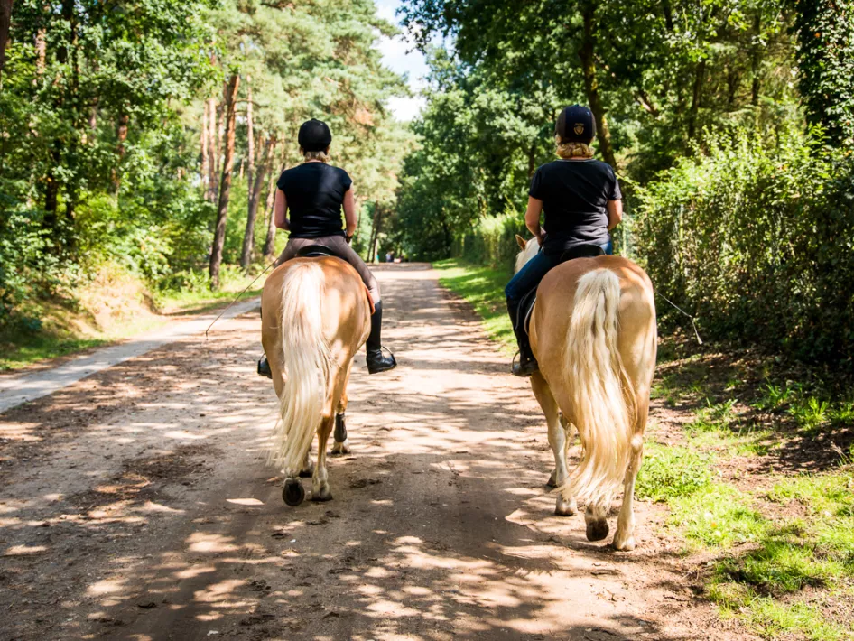 Twee ruiters met hun paarden op buitenrit