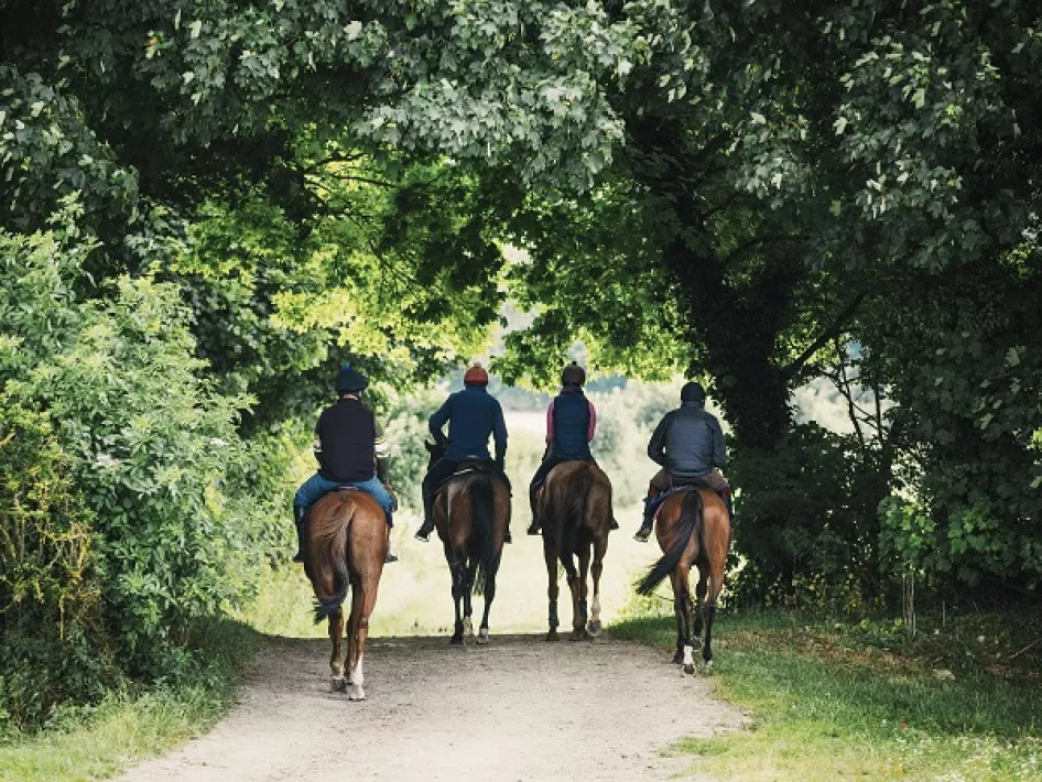 Vier ruiters die samen aan het buitenrijden zijn