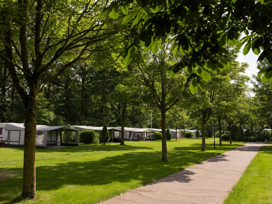 Camping field with a row of caravans on it