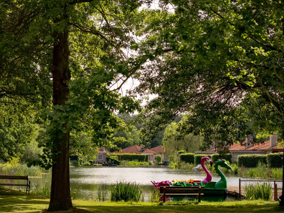 The water where Parc de Witte Vennen's cottages are located with the park's pedal boats in the foreground