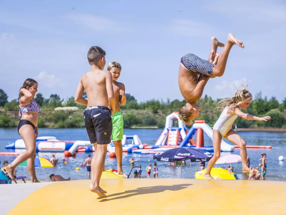 Dagstrand BillyBird Park Drakenrijk