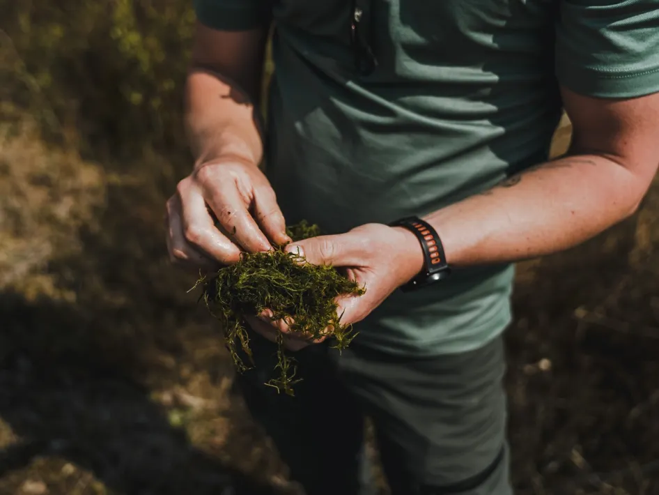 Gids bekijkt waterplanten tijdens een natuuractiviteit in De Groote Peel.