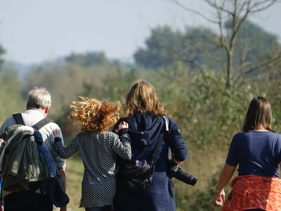 Groep wandelaars onderweg door een groen natuurgebied tijdens de Peeltocht in NP De Groote Peel.