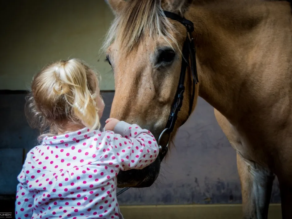 Jong kind maakt contact met een pony tijdens de ponymiddag bij Rijstal Venhof.