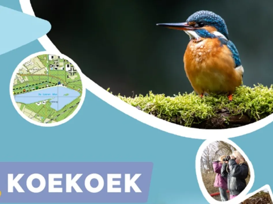 Poster van de Koekoek week bij het NMC in Weert