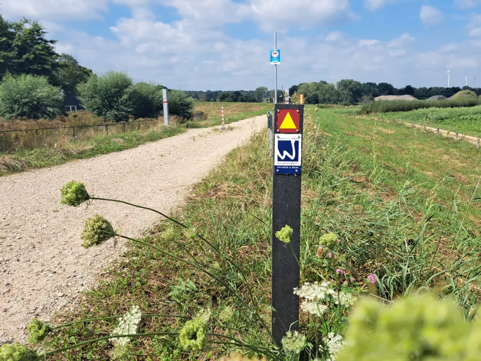 Trail marker for the Premium Hiking Trail Huilbeek and Maas with signage and wildflowers along a gravel path in the Limburg landscape.