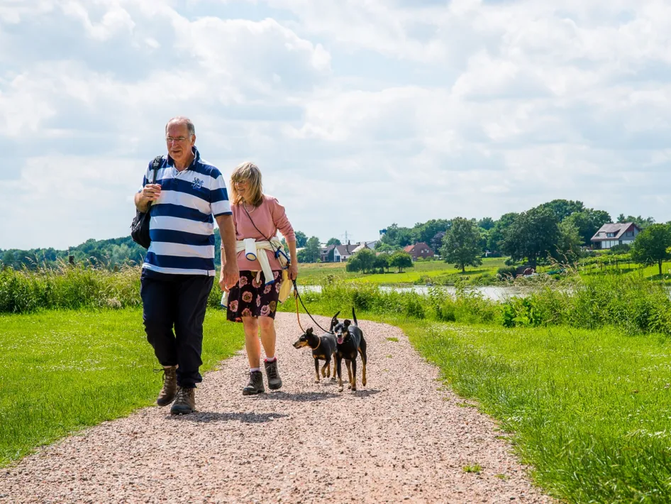Twee wandelaars met twee hondjes op een breed wandelpad langs de Maas bij Beesel, op een zonnige dag.