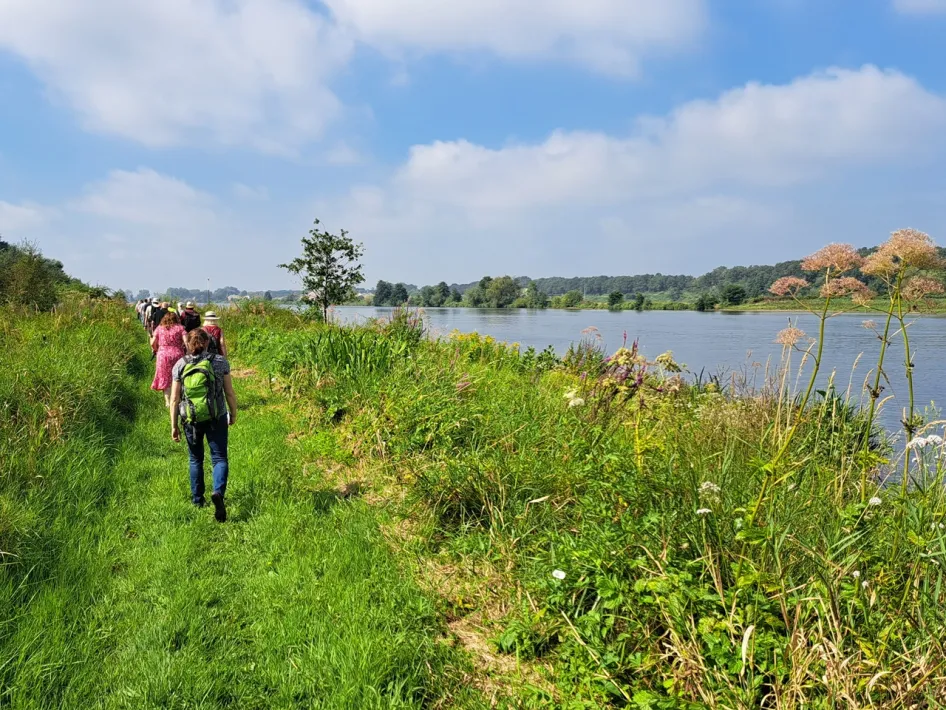 Group of hikers on a green grassy path along the river Maas with views over the water and flowering riverbank plants.