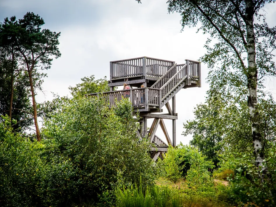 Houten uitkijktoren tussen het groen in Nationaal Park De Meinweg, met wandelaar op het platform.