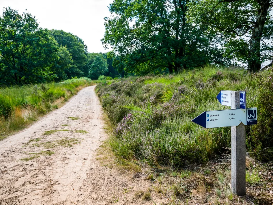 Wegwijzers van de Premium Wandelroute Meinvennen langs een zandpad door de heide in Nationaal Park De Meinweg.