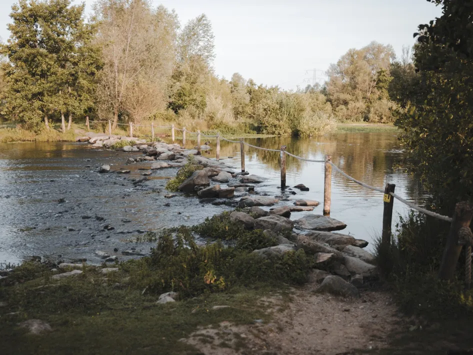 Stapstenen over het water tussen twee oevers op de wandelroute Molenplas, met touwgeleiding en omringende bomen.