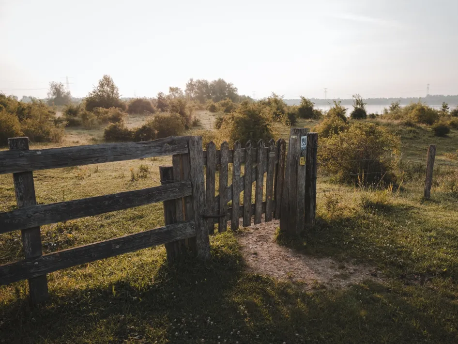 Houten toegangshek tot de Premium Wandelroute Molenplas met uitzicht op het natuurgebied en de rivier.