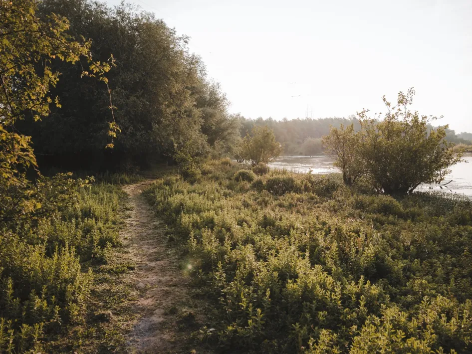 Zandpad langs het water omringd door struiken en bomen in de vroege ochtendzon.