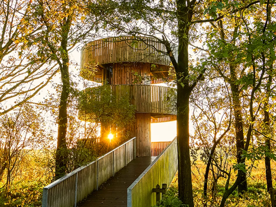 Uitkijktoren Weerterbos