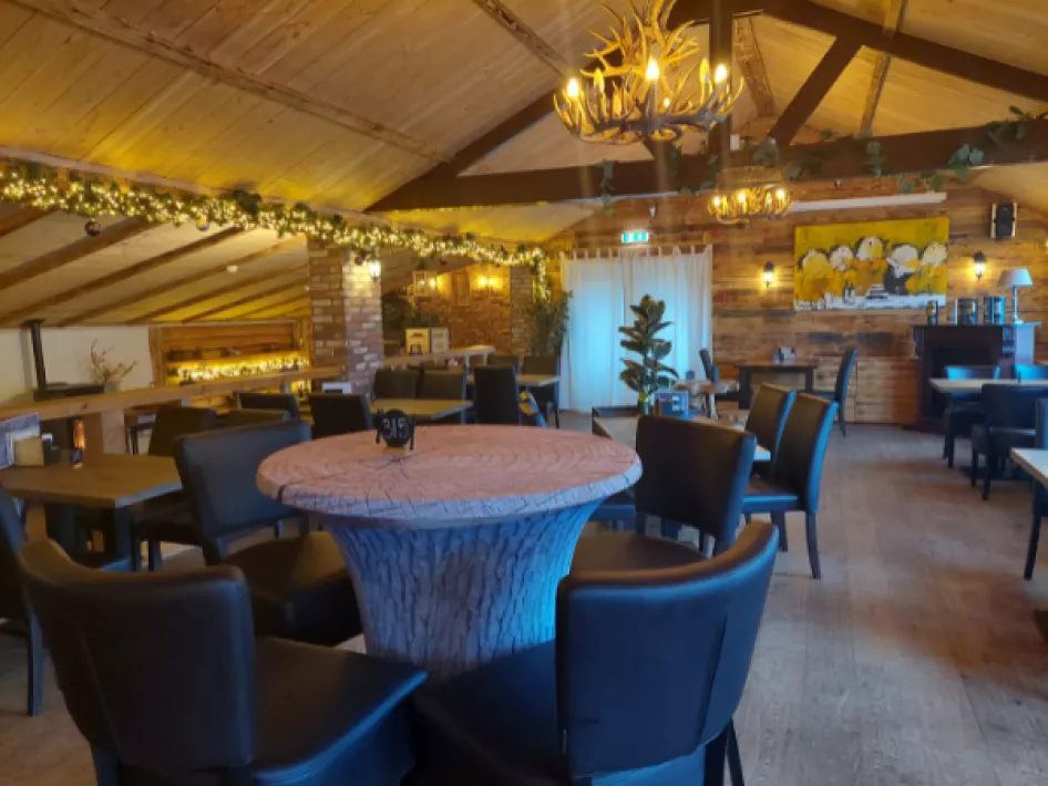 Gemütlich eingerichteter Raum mit Holzverkleidung, bequemen Stühlen, stimmungsvoller Beleuchtung und Dekoration im Waldstil.