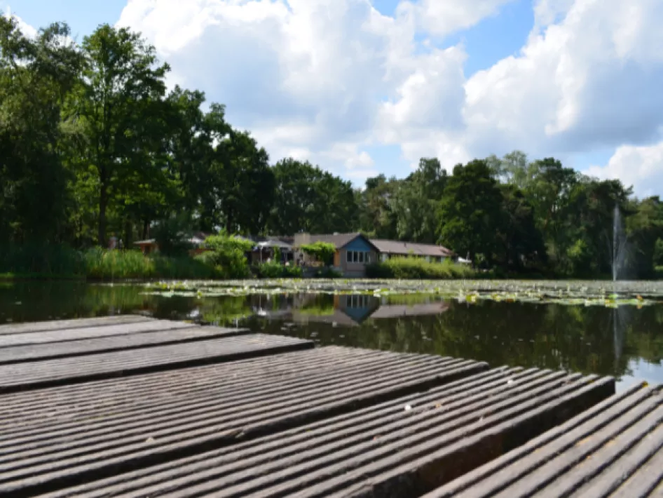 Blick von einem Holzsteg über den ruhigen Teich mit dem Restaurant und üppigem Grün im Hintergrund.