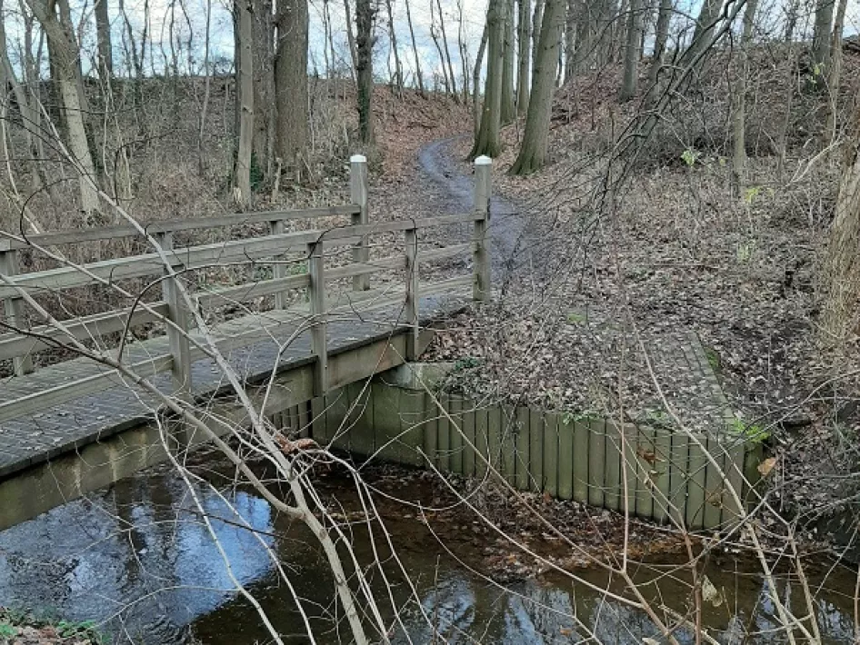 De plek van Riley's Gully bij de Molenbeek in Linne