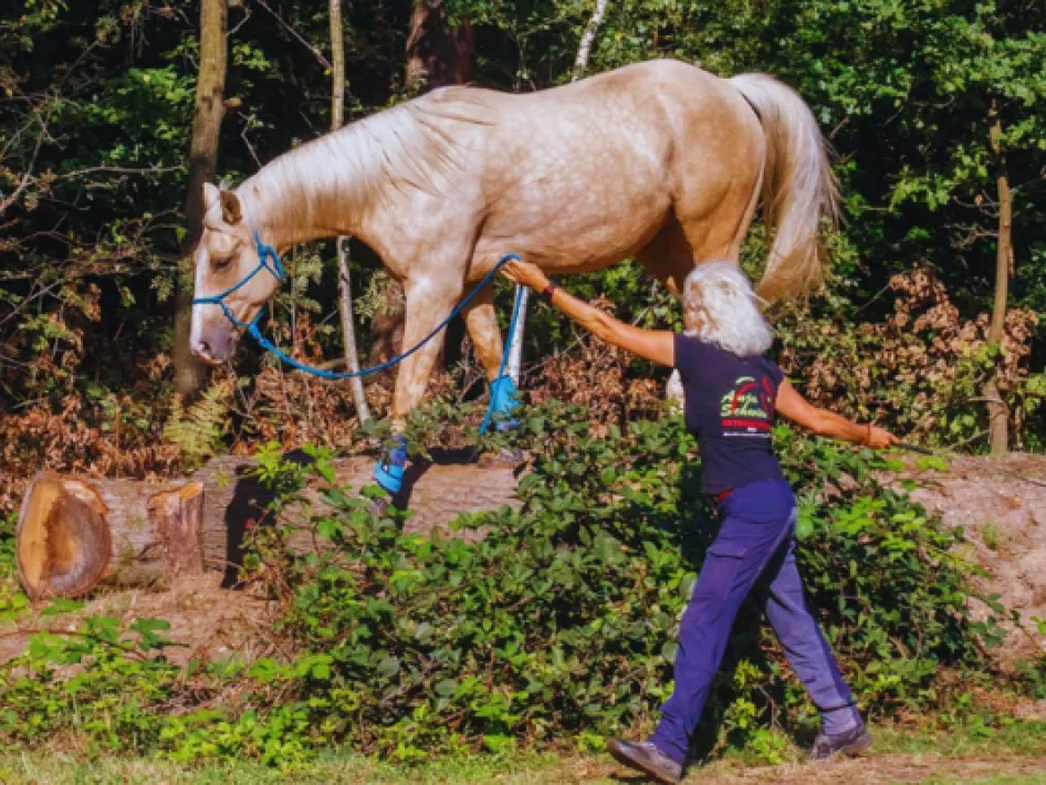 Roerdalen Horse Experience Smal Hoog Pad
