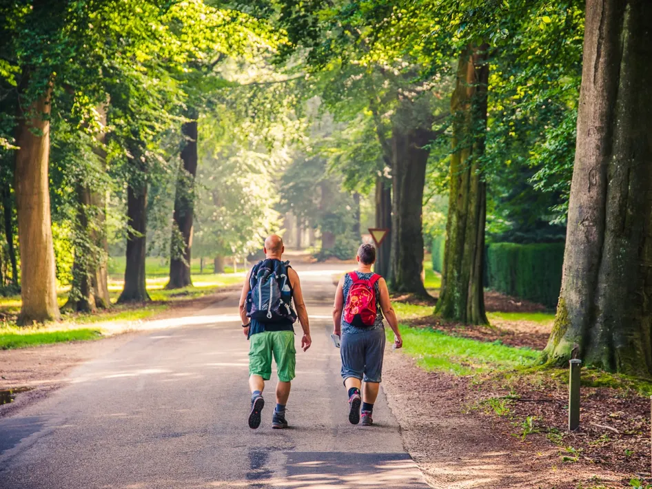 Twee wandelaars lopen tijdens Roermond Wandelt over een groene laan met hoge bomen.