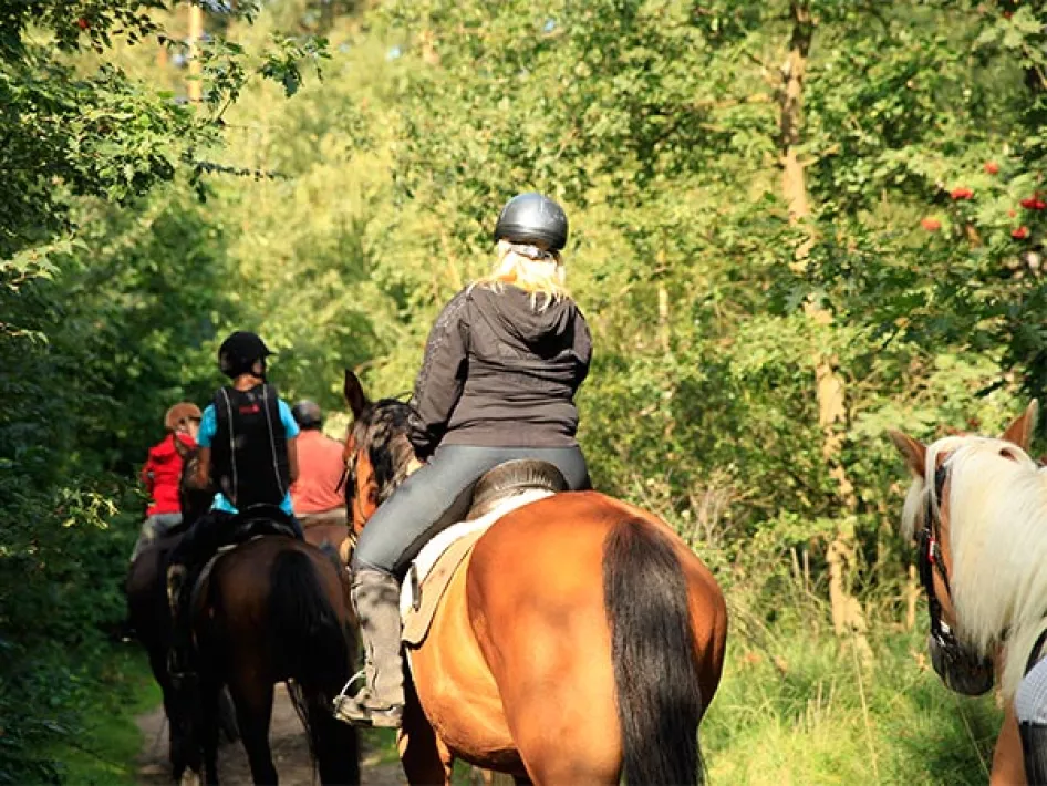 Groep ruiters met hun paarden op buitenrit