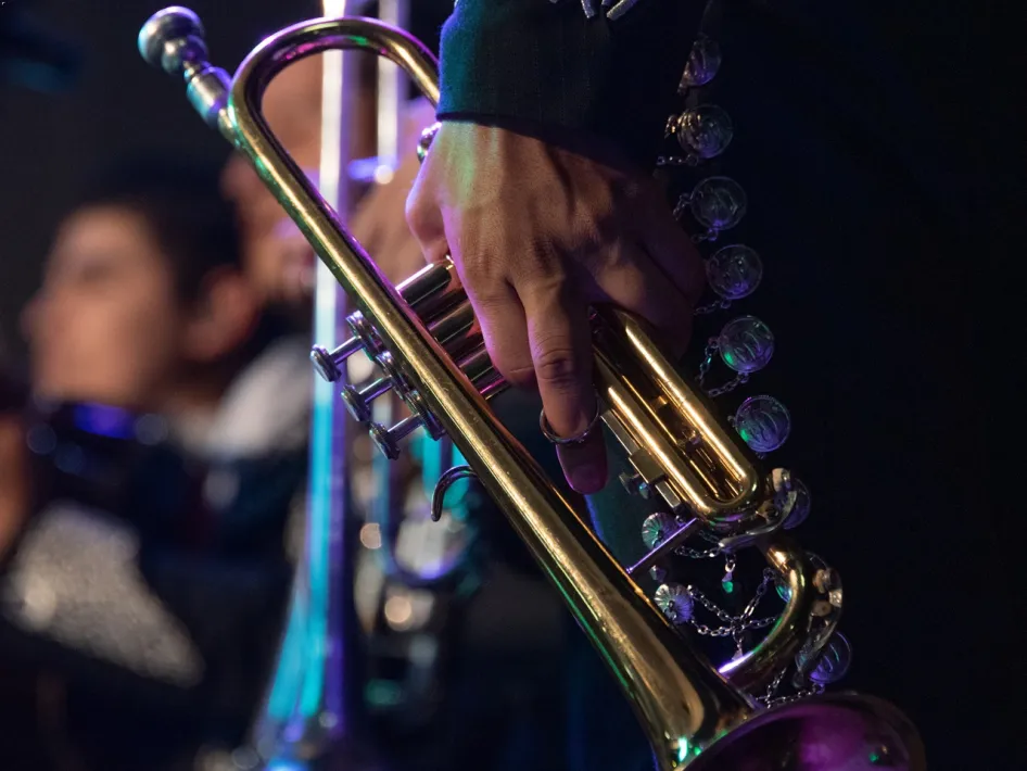 Close-up van een trompettist tijdens het Royal Jazz concert, met sfeervolle verlichting en muzikanten op de achtergrond.