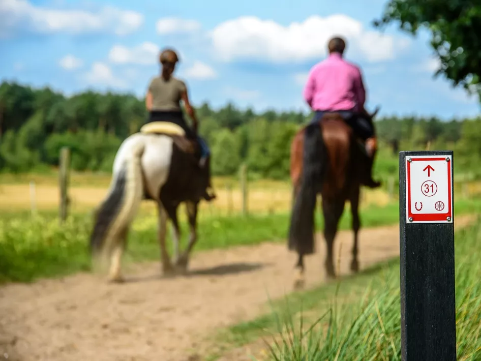 Reitwegschild mit einer Frau und einem Mann, die auf dem Meinweg reiten, im Hintergrund