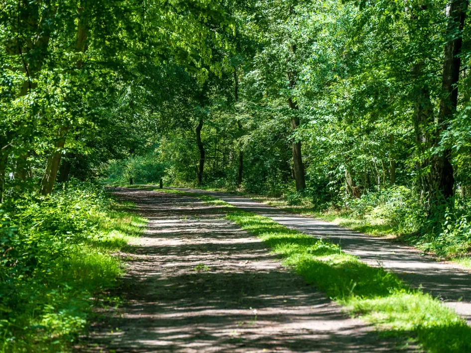 Het ruiterpad waarover de ruiterroute Weert - IJzeren Man route west overheen loopt