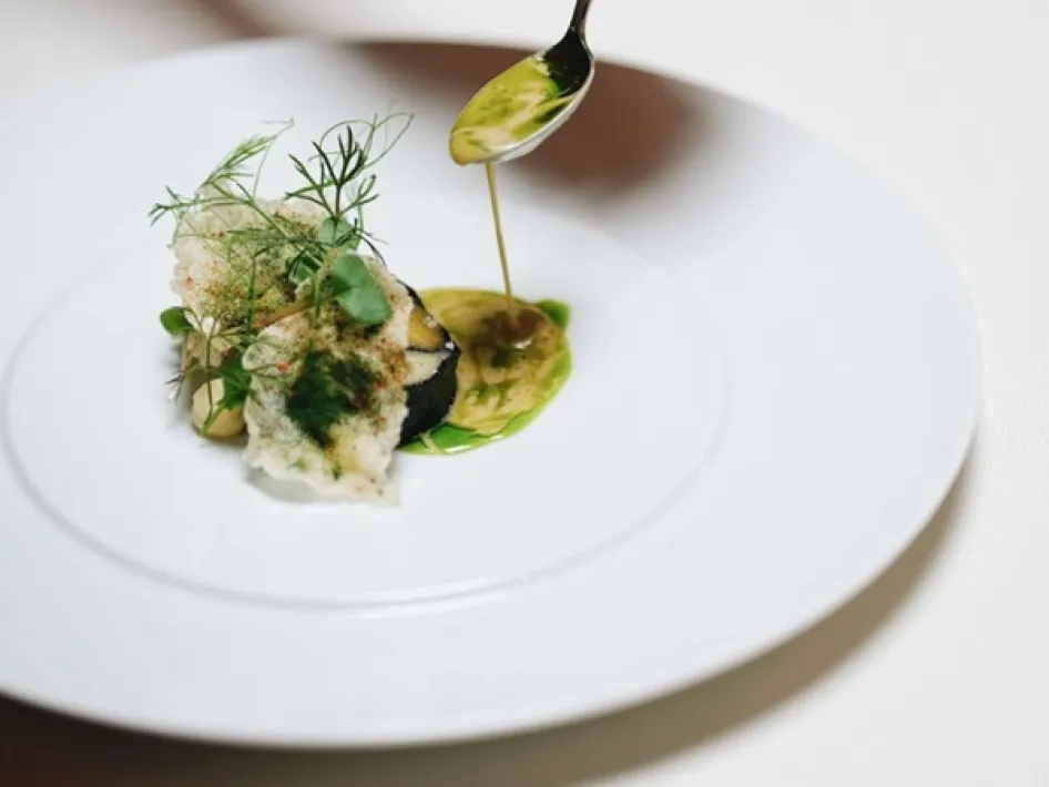 Ein raffiniertes Hauptgericht wird mit einer Sauce vollendet, serviert auf einem weißen Teller mit frischen Kräutern und grünem Dressing.