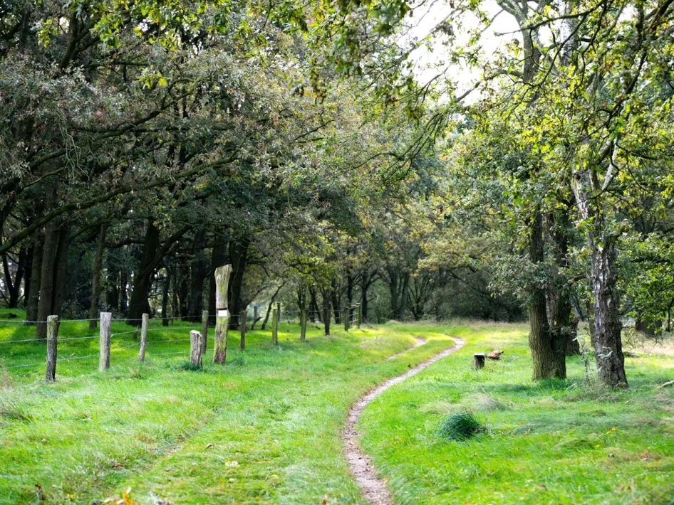 Onverhard wandelpad door het gebied Sarsven en de Banen