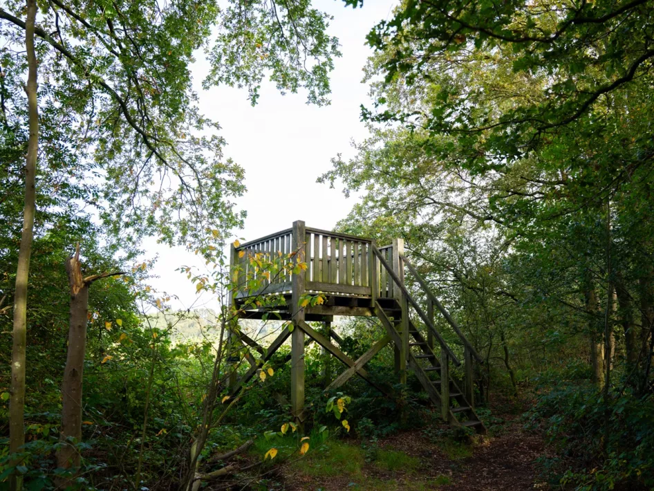Ein Aussichtsturm im Naturschutzgebiet