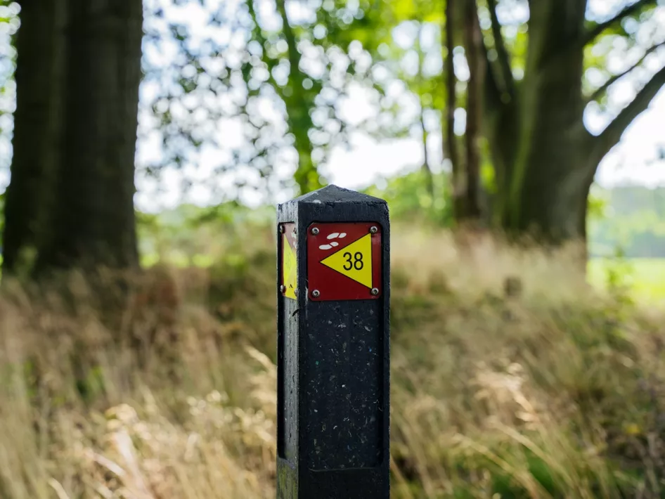 Walking post with node 38 in Sarsven and the Banen nature reserve